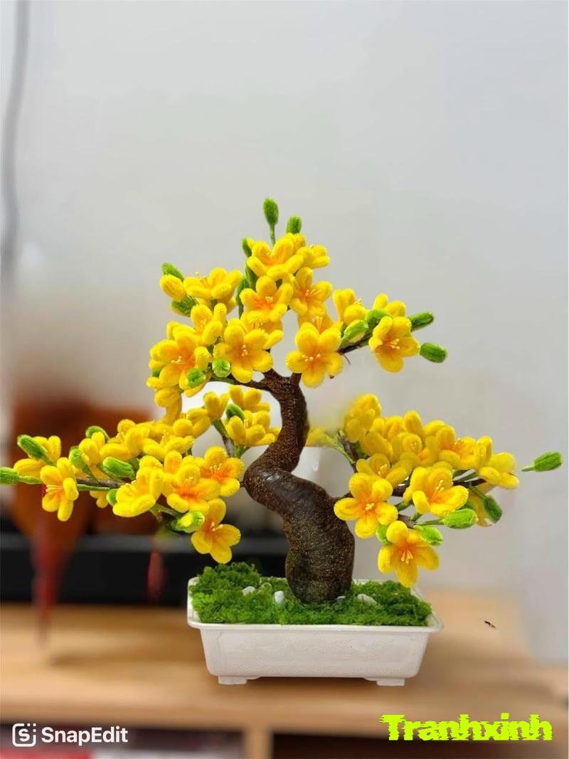 cây mai tết đẹp