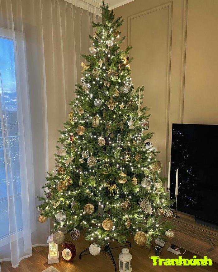 cây thông noel dep