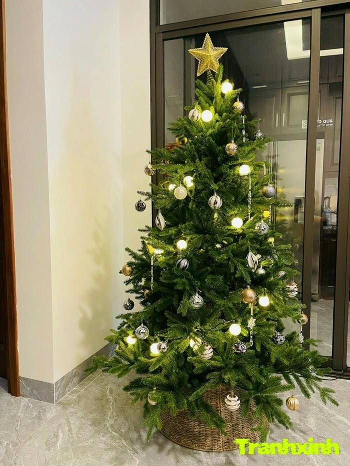 cây thông noel đẹp