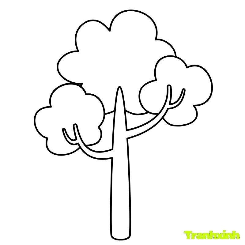 cây xanh tô màu