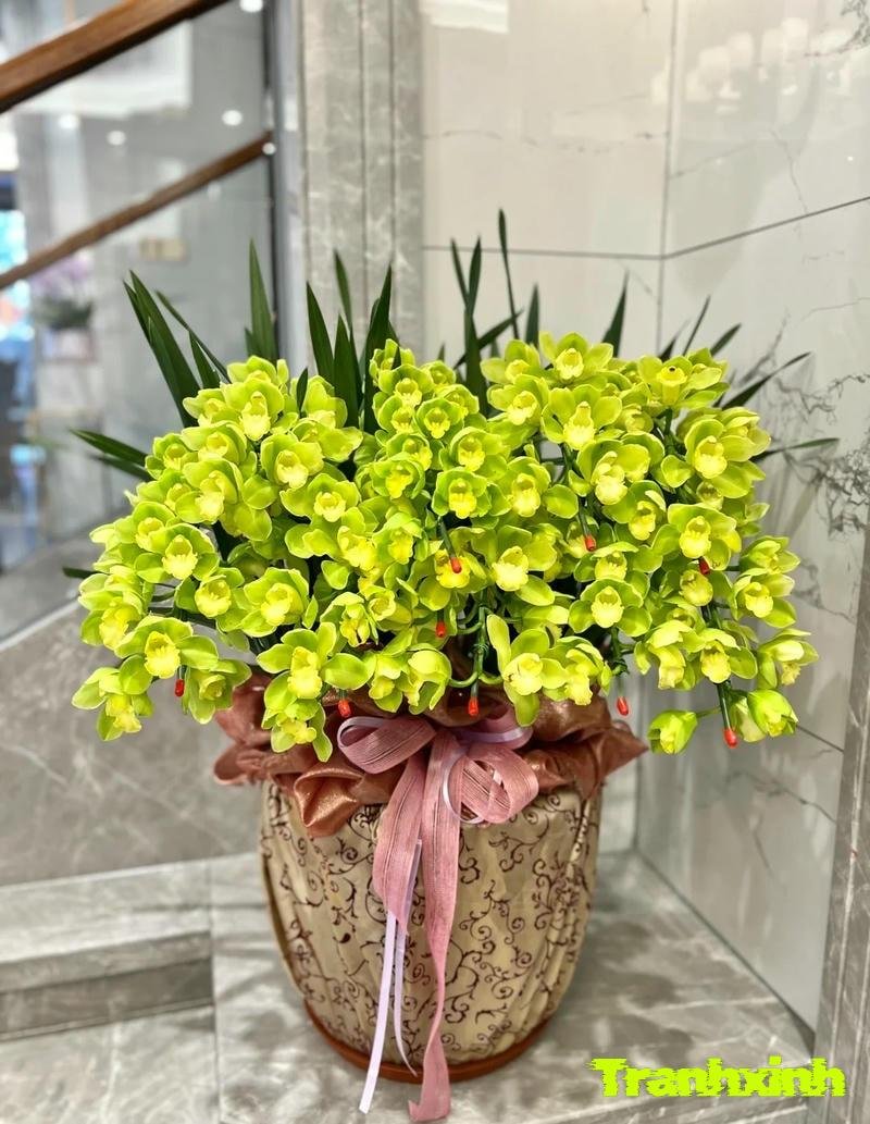 chậu cây ban công đẹp