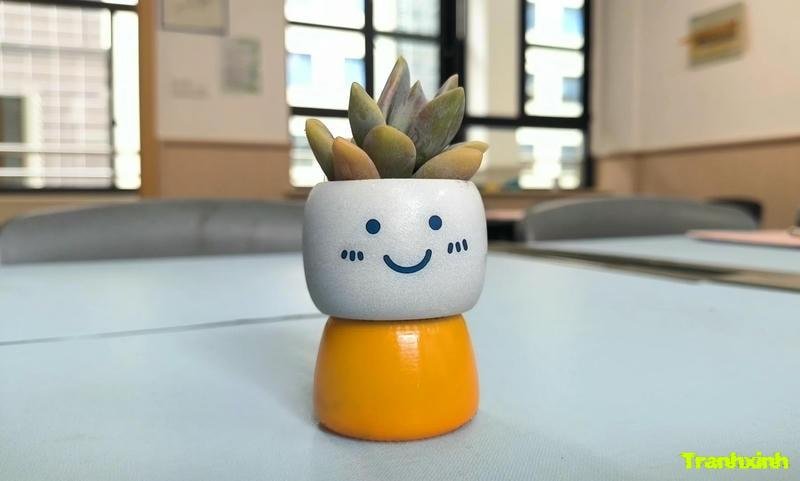 chậu hoa để bàn phòng khách