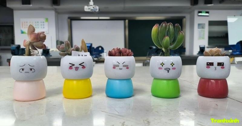 chậu hoa de bàn phòng khách