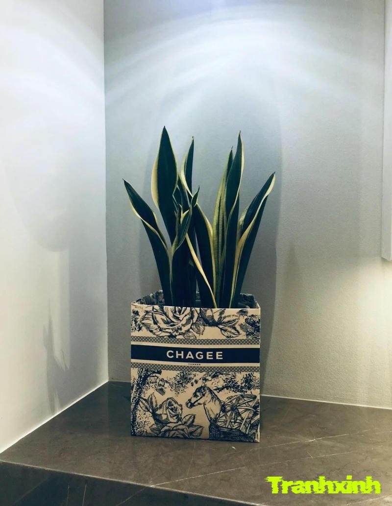 chậu hoa giả đẹp