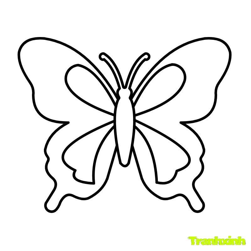 con bướm tô màu