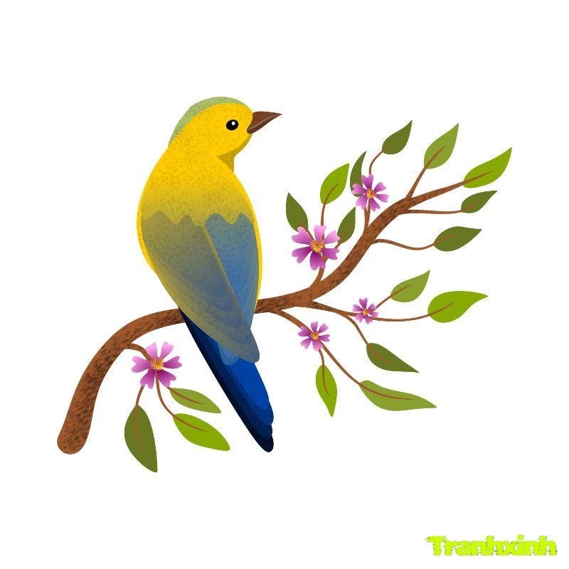con chim tô màu