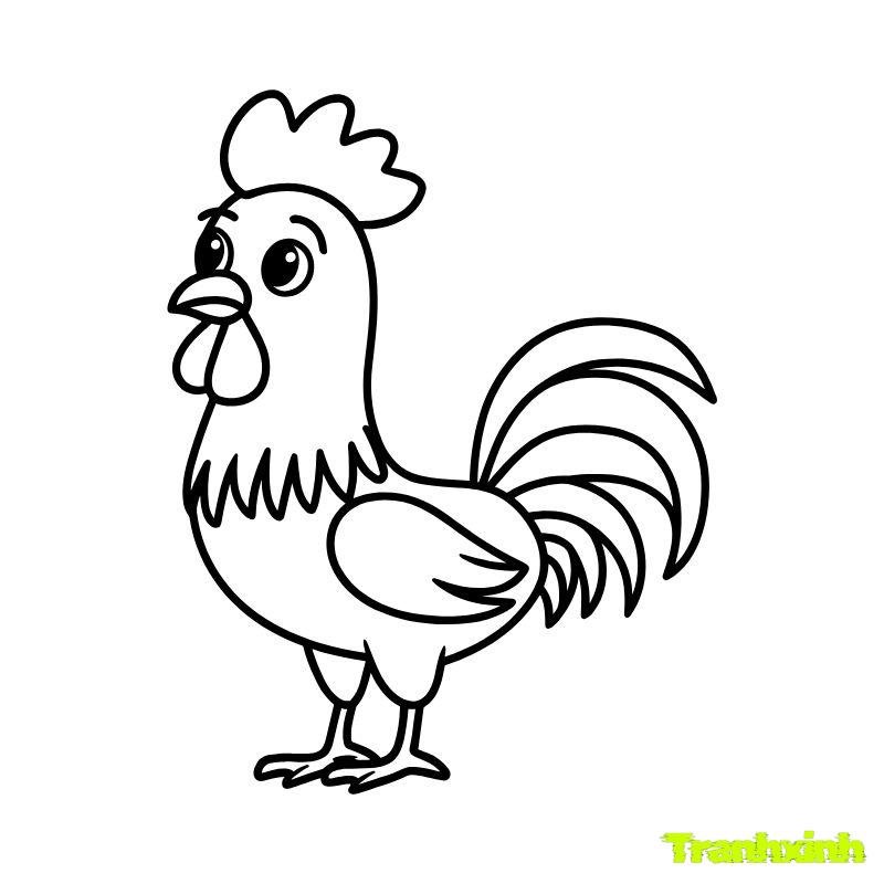 con gà trống tô màu