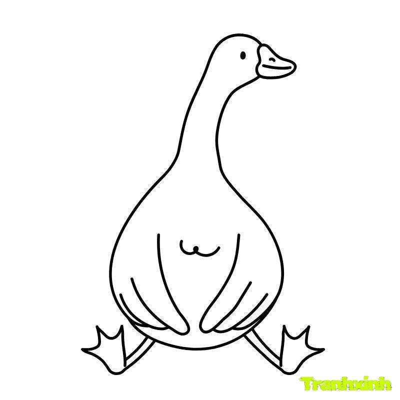 con vịt tô màu