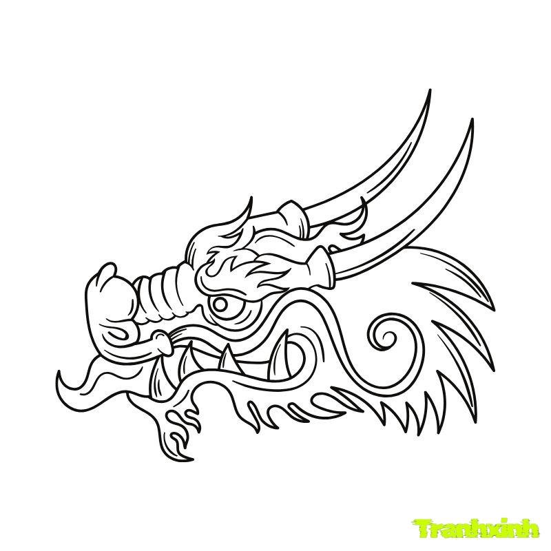 đầu rông ftoo màu