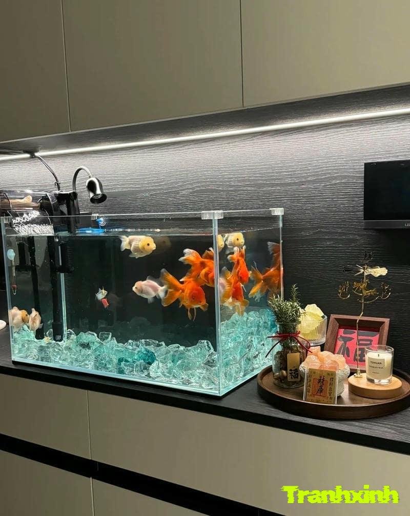 đồ trang trí hồ cá