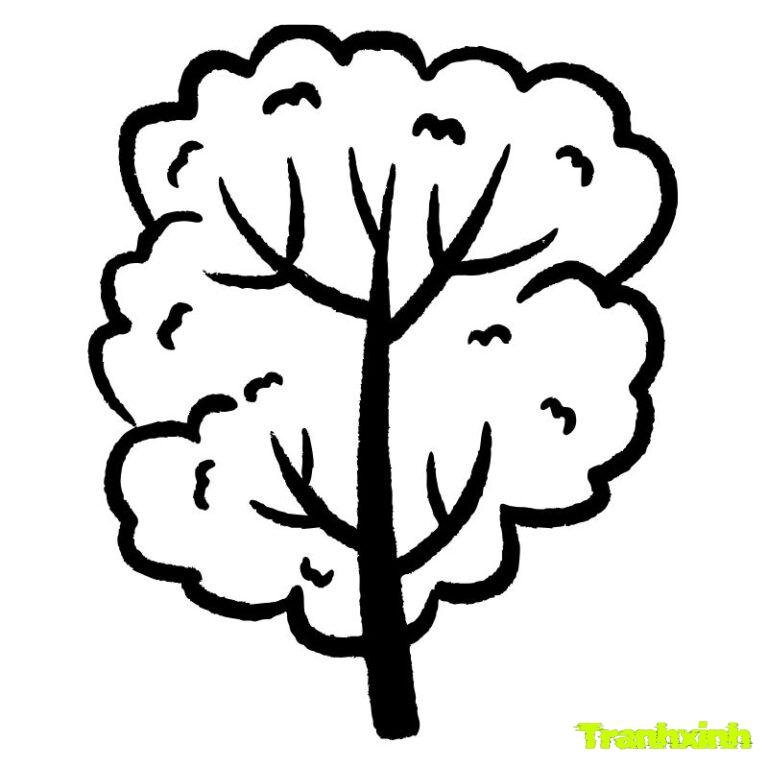 hình ảnh cây xanh tô màu