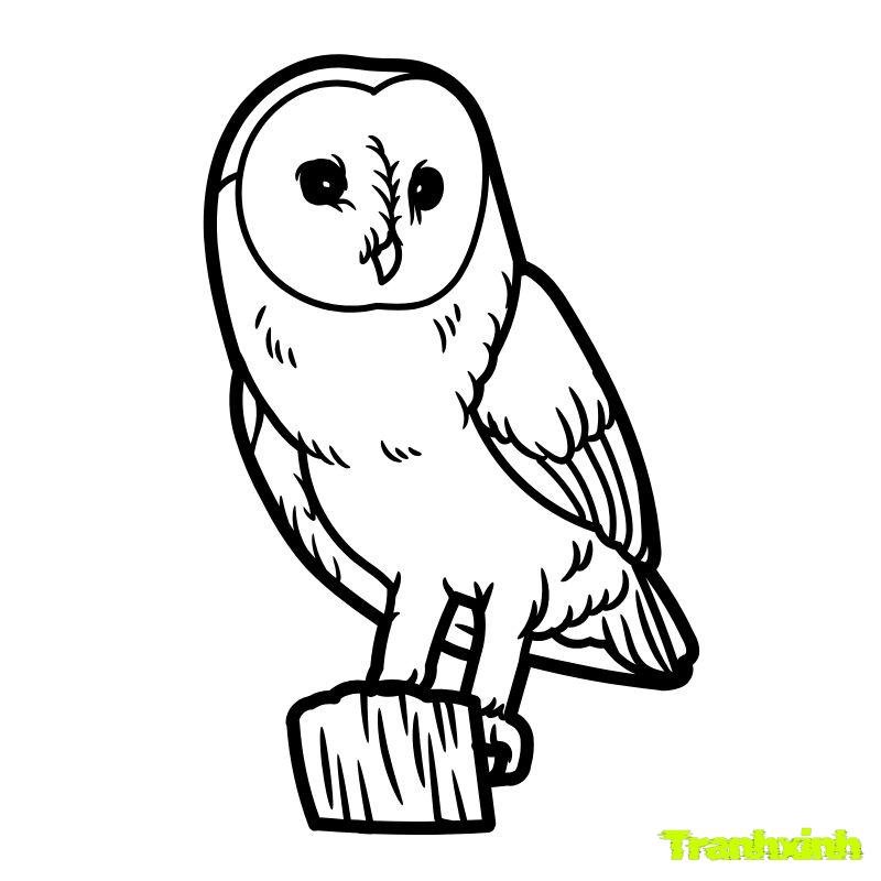hình ảnh con chim cho bé tô màu