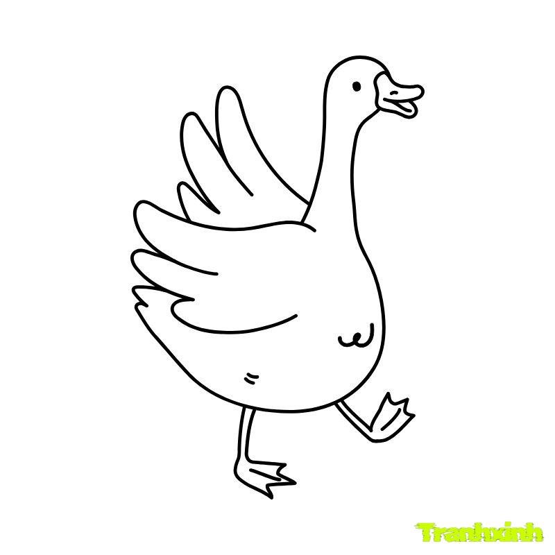 hình ảnh con vịt tô màu