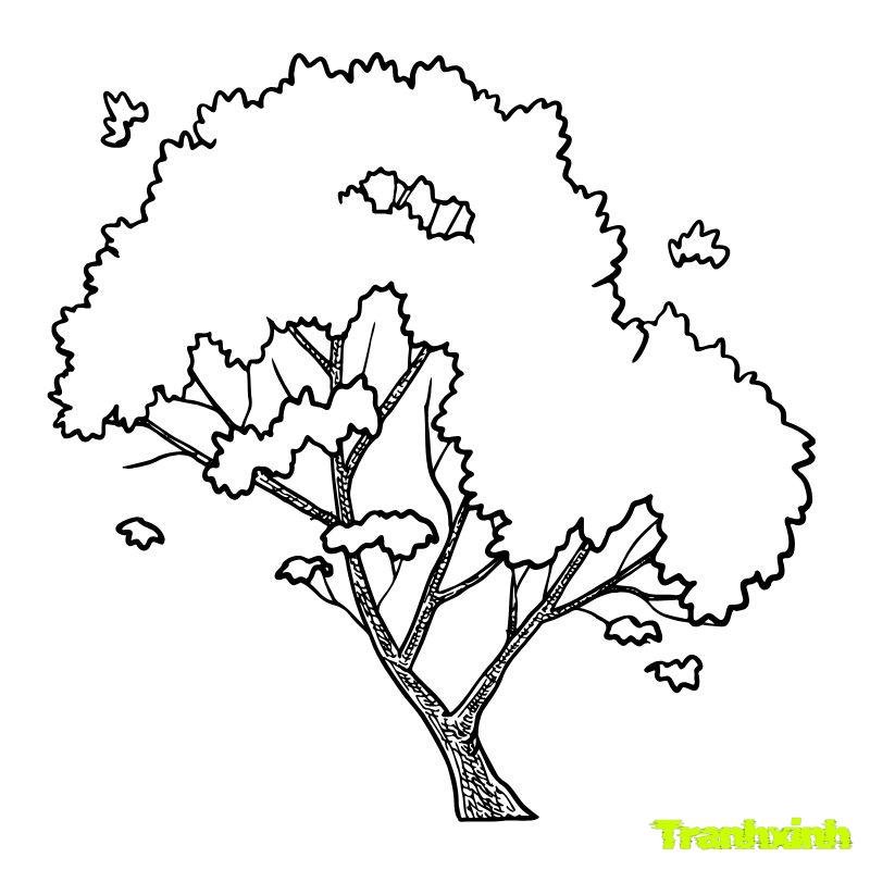 hình ảnh tô màu cây xanh