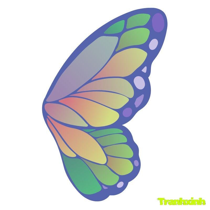 hình ảnh tô màu con bướm