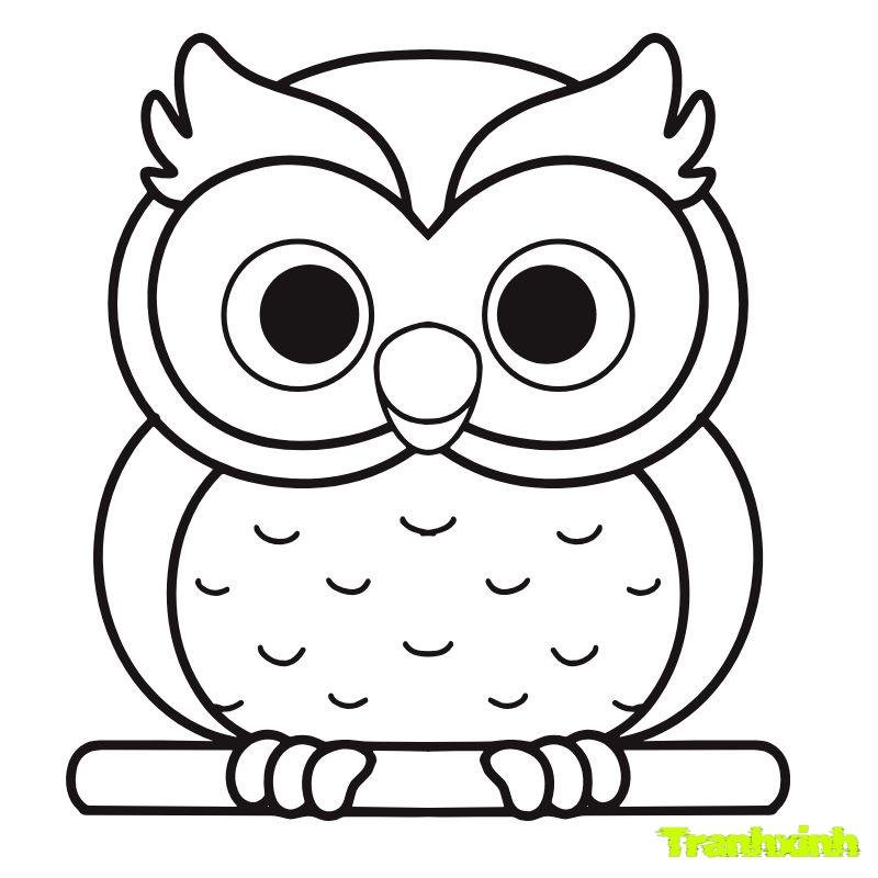 hình ảnh tô màu con chim