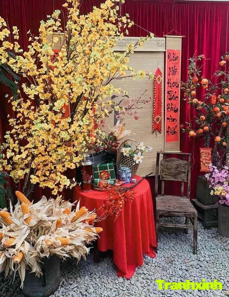 hình ảnh trang trí cây mai