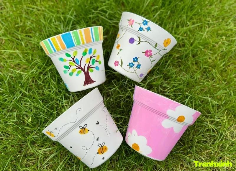 hình anh trang trí chậu cây