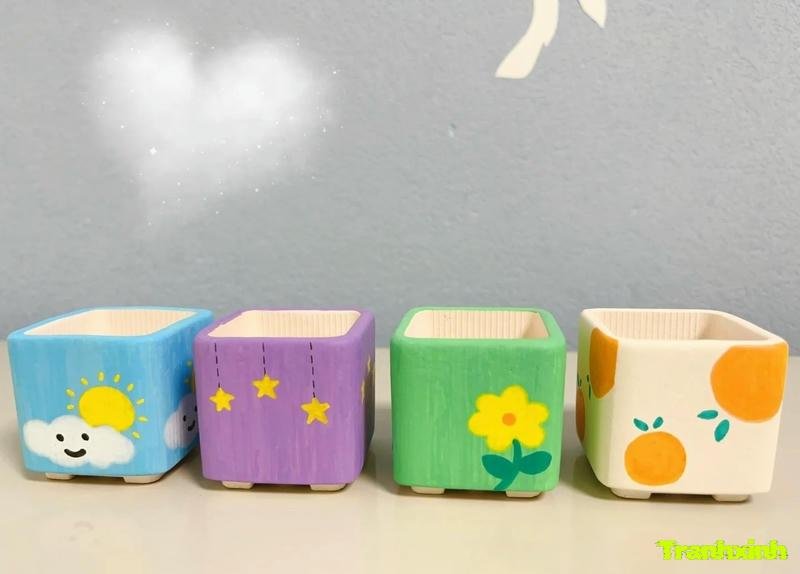 hinh anh trang trí chậu cây