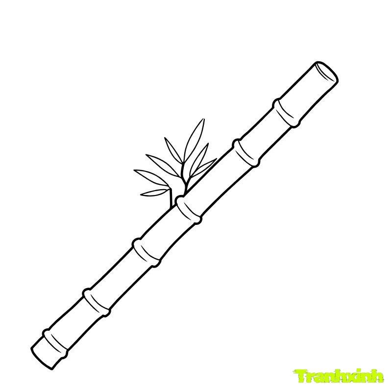 hinh anh tranh tô màu cây xanh