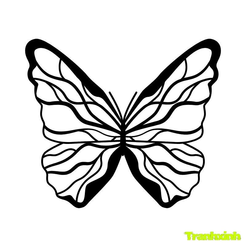 hình ảnh tranh tô màu con bướm