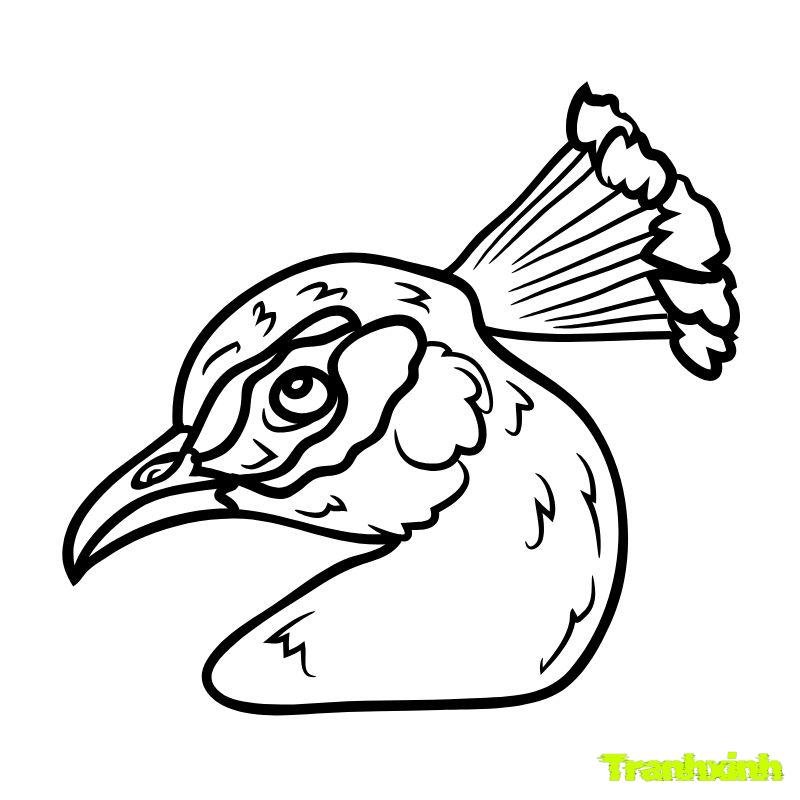 hinh ảnh tranh tô màu con chim