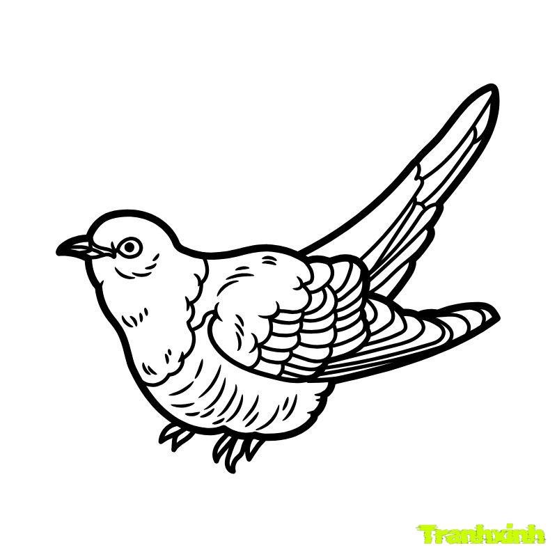 hình anh tranh tô màu con chim