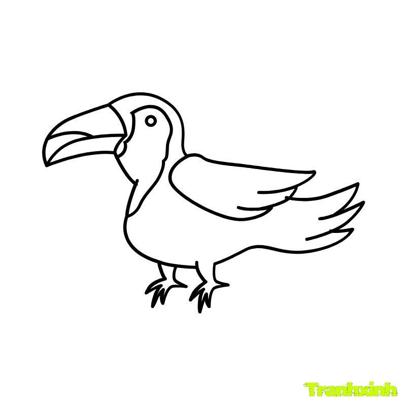 hình ảnh tranh tô màu con chim