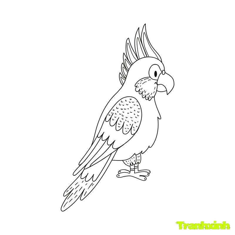 hinh anh tranh tô màu con chim