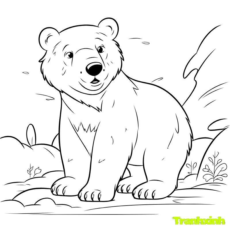hình anh tranh tô màu con gấu
