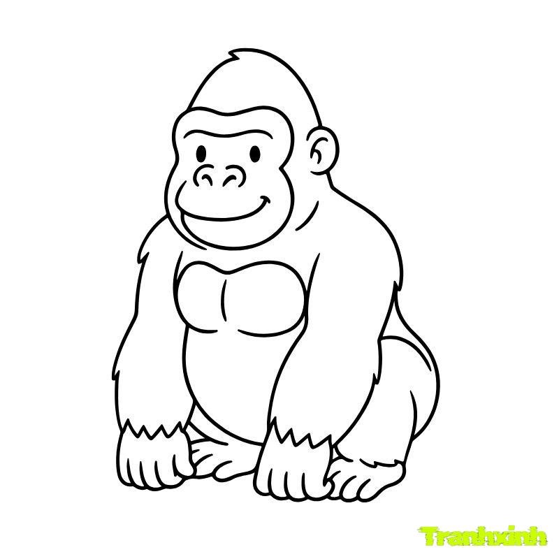 hinh ảnh tranh tô màu con khỉ