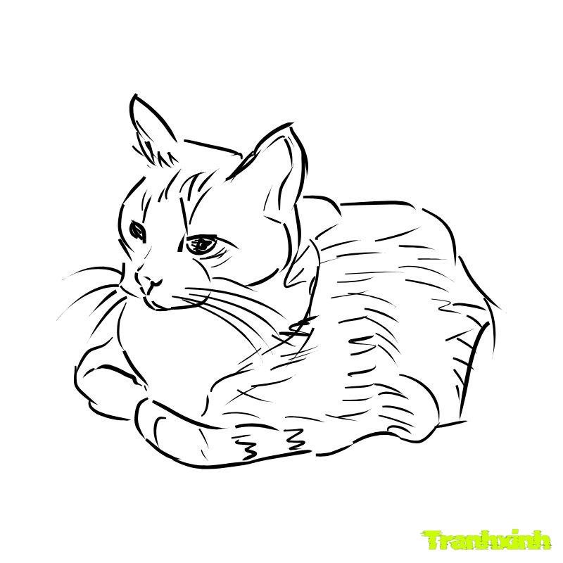 hình ảnh tranh tô màu con mèo