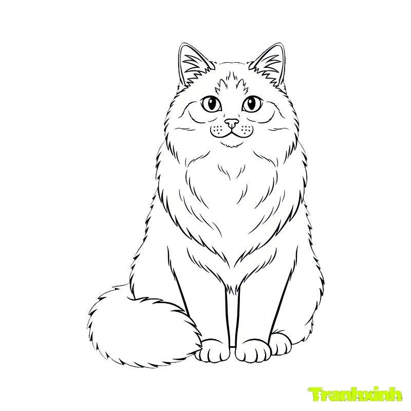hinh ảnh tranh tô màu con mèo