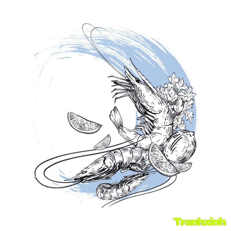 hình anh tranh tô màu con tôm