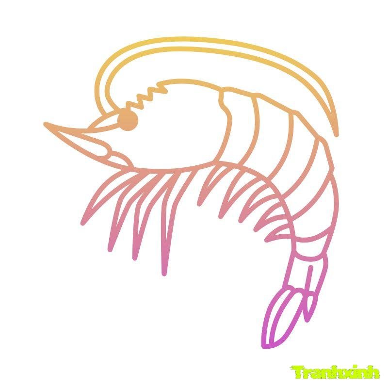hinh anh tranh tô màu con tôm