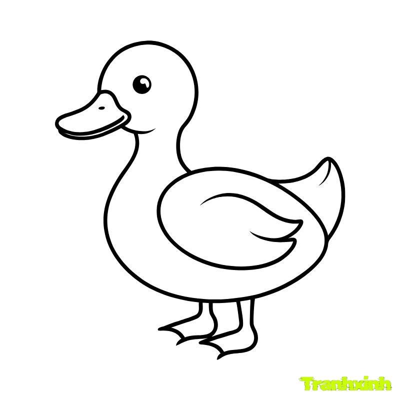 hình ảnh tranh tô màu con vịt