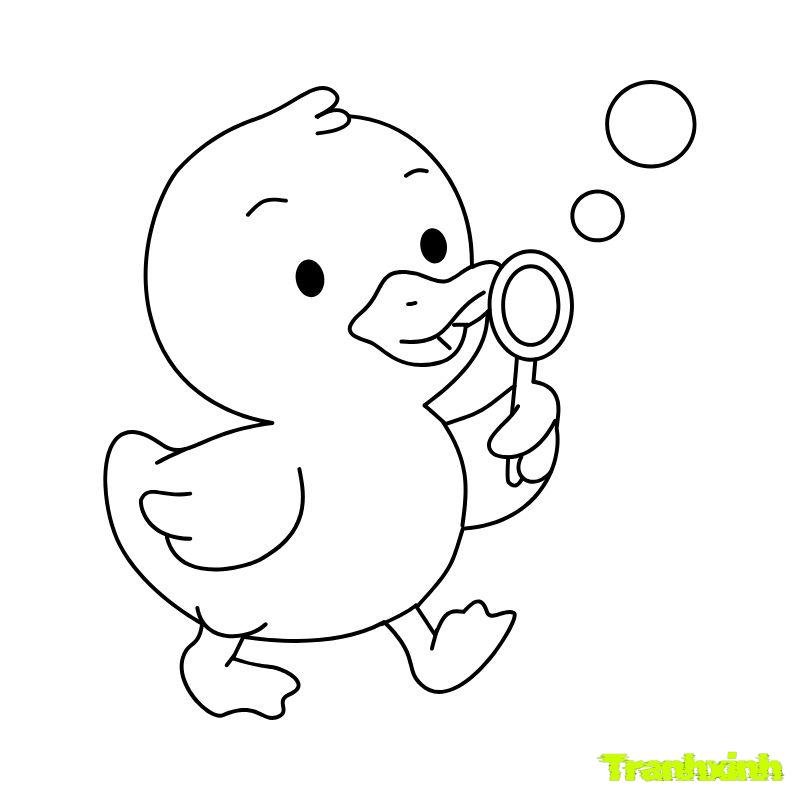 hinh anh tranh tô màu con vịt