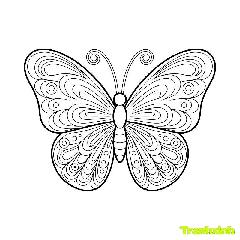 hình con bướm tô màu