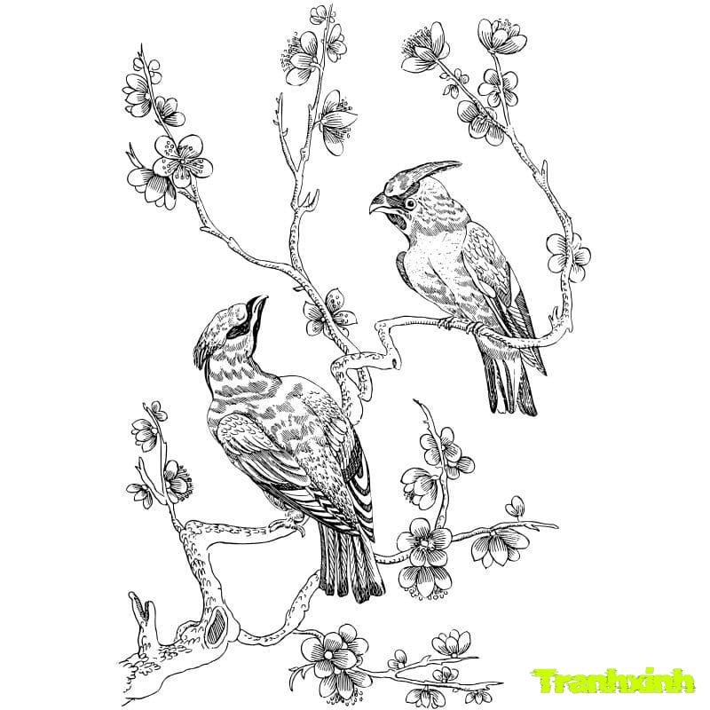 hình con chim cho bé tô màu
