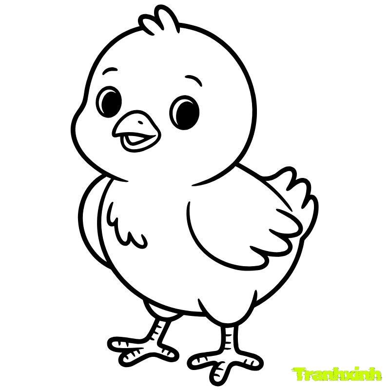hình con gà tô màu