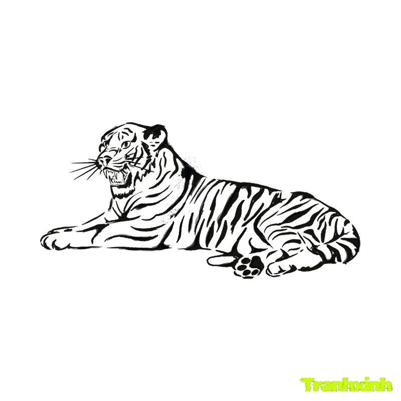 hình con hổ cho bé tô màu