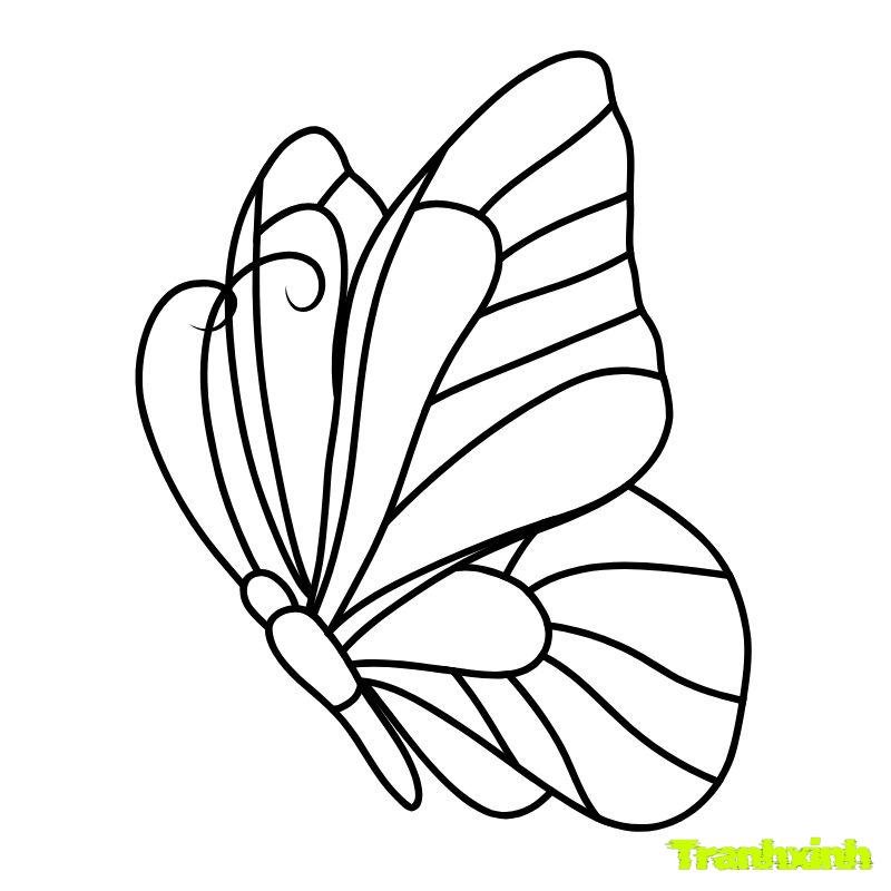hình tô màu con bướm