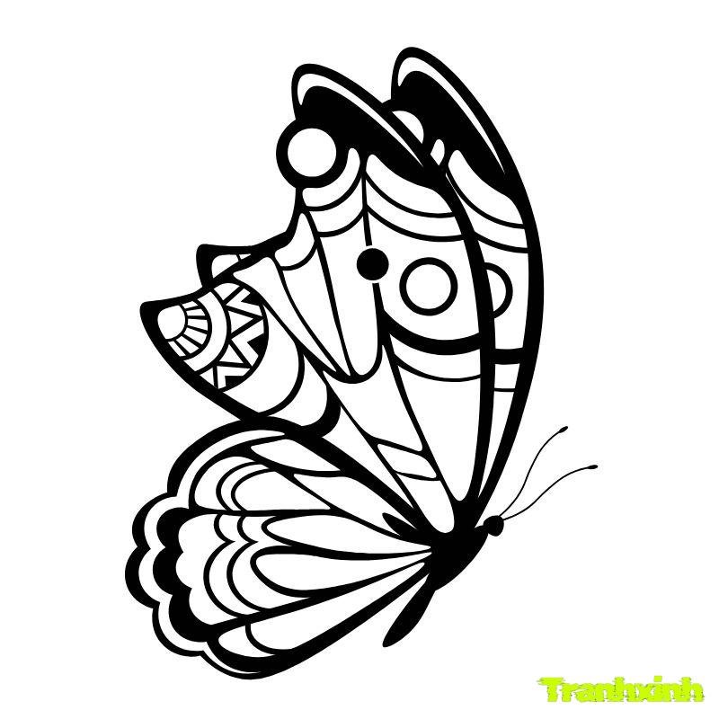 hinh to mau con buom