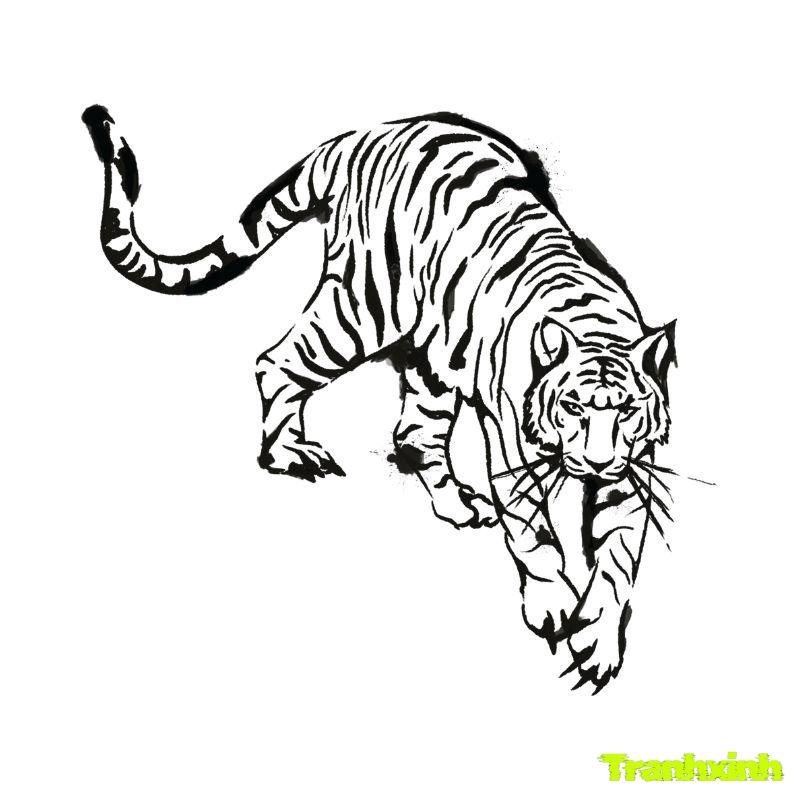 hình tô màu con cọp