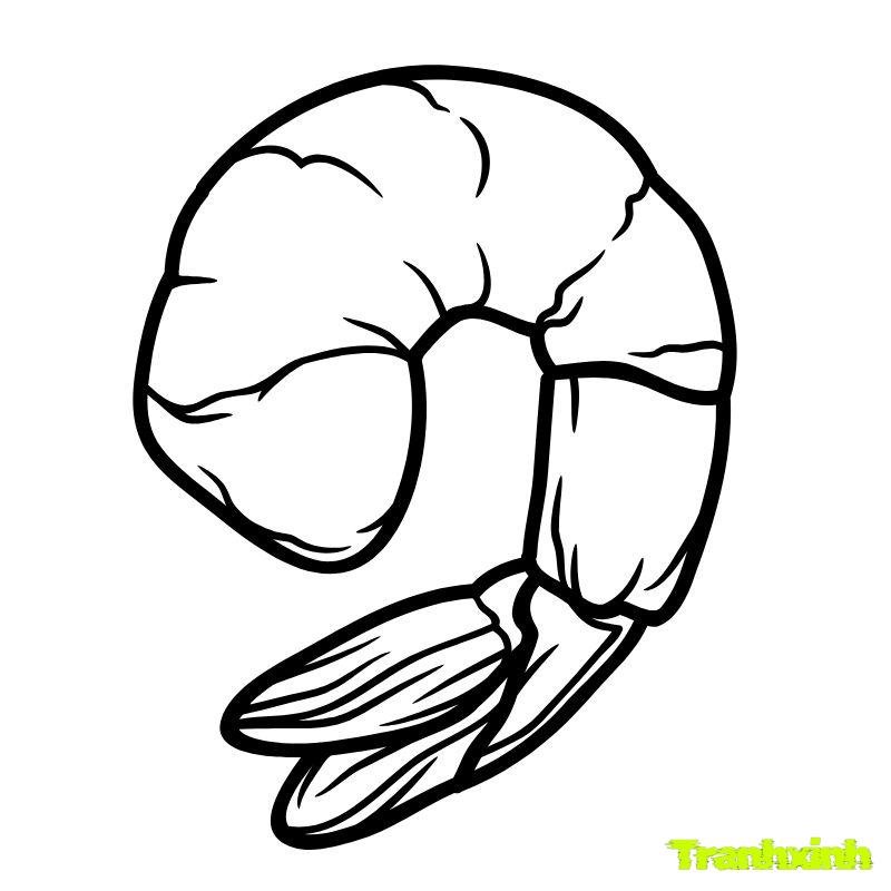 hình tô màu con tôm