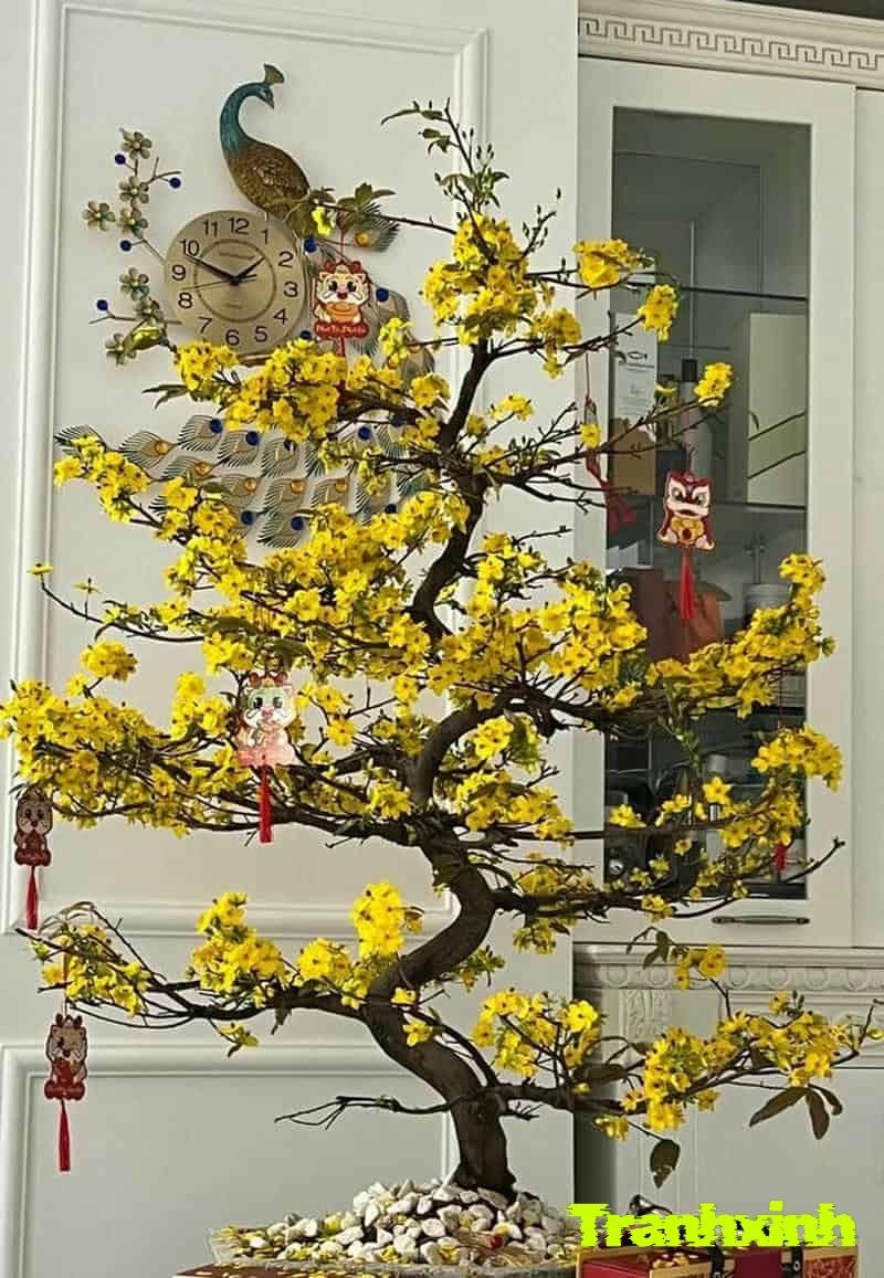 hinh trang trí cây mai