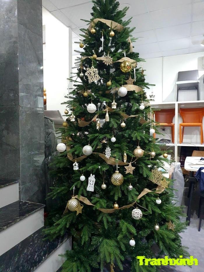 hình trang trí cây thông noel