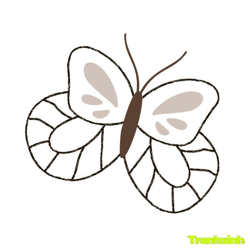 hinh tranh tô màu con bướm