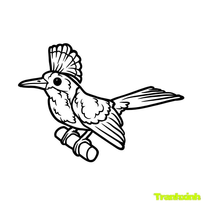 hinh tranh tô màu con chim