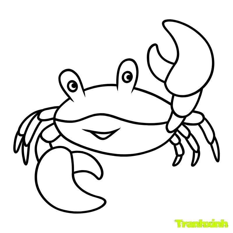 hình tranh tô màu con cua